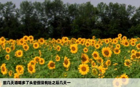 前几天酒喝多了头晕但没有吐之后几天一