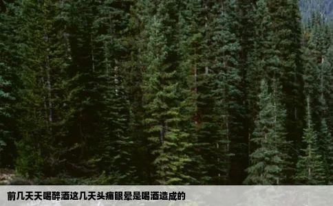 前几天天喝醉酒这几天头痛眼晕是喝酒造成的