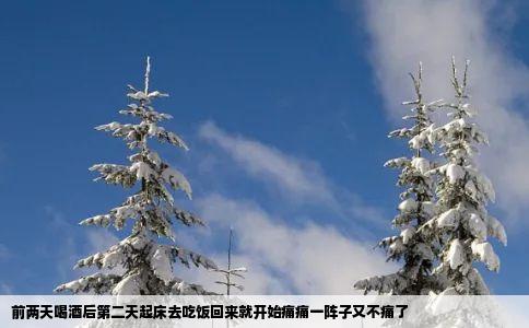 前两天喝酒后第二天起床去吃饭回来就开始痛痛一阵子又不痛了