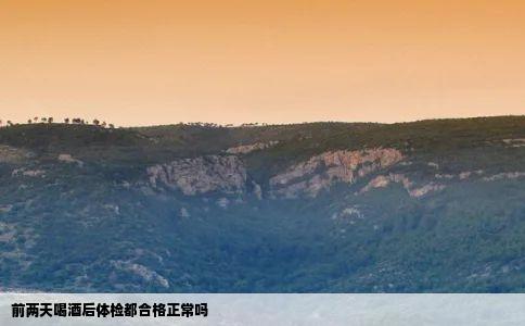 前两天喝酒后体检都合格正常吗