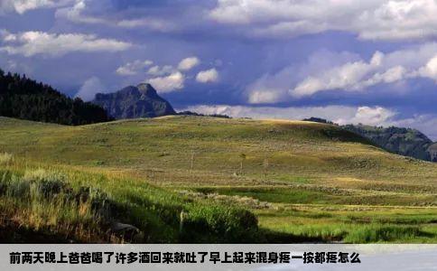 前两天晚上爸爸喝了许多酒回来就吐了早上起来混身疼一按都疼怎么