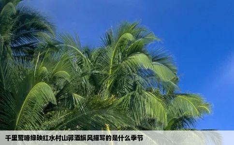 千里莺啼绿映红水村山郭酒旗风描写的是什么季节