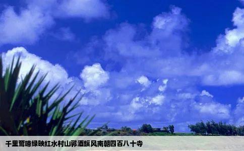 千里莺啼绿映红水村山郭酒旗风南朝四百八十寺