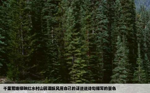 千里莺啼绿映红水村山郭酒旗风用自己的话说说诗句描写的景色