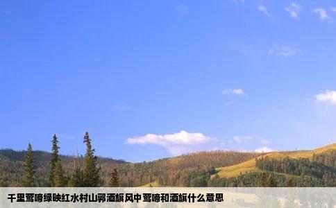 千里莺啼绿映红水村山郭酒旗风中莺啼和酒旗什么意思