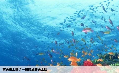 前天晚上喝了一宿的酒转天上吐