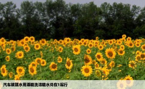 汽车玻璃水用酒精洗洁精水兑在1起行