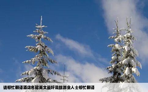 请帮忙翻译酒店名称英文最好是旅游业人士帮忙翻译
