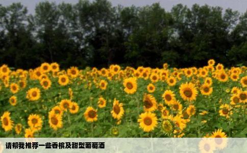 请帮我推荐一些香槟及甜型葡萄酒