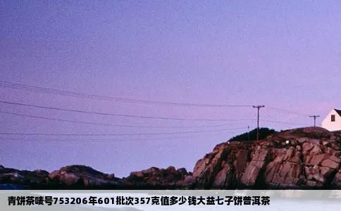 青饼茶唛号753206年601批次357克值多少钱大益七子饼普洱茶