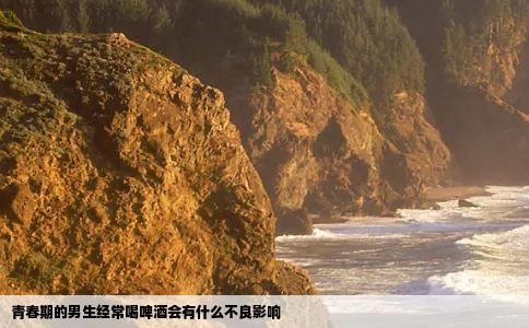 青春期的男生经常喝啤酒会有什么不良影响
