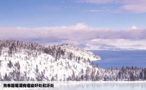 青春期喝酒有哪些好处和坏处