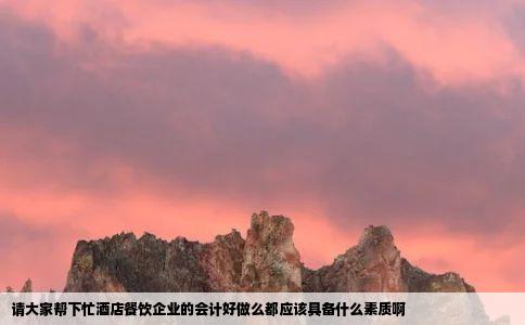 请大家帮下忙酒店餐饮企业的会计好做么都应该具备什么素质啊