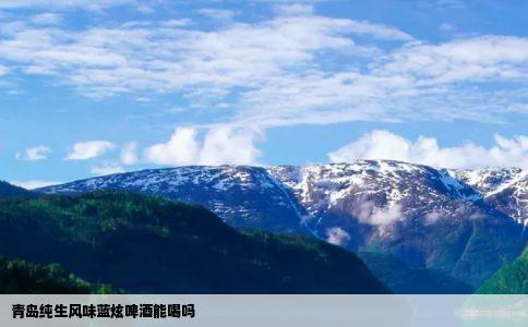 青岛纯生风味蓝炫啤酒能喝吗