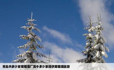 青岛共多少家葡萄酒厂其中多少家提供葡萄酒旅游