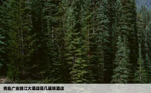 青岛广业锦江大酒店是几星级酒店