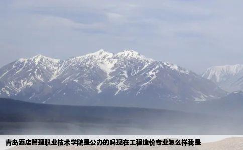 青岛酒店管理职业技术学院是公办的吗现在工程造价专业怎么样我是