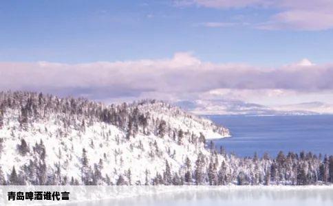 青岛啤酒谁代言