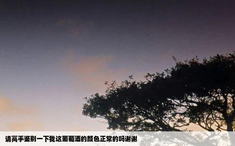 请高手鉴别一下我这葡萄酒的颜色正常的吗谢谢