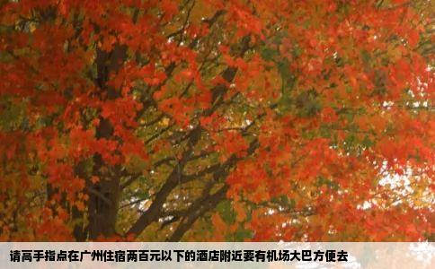 请高手指点在广州住宿两百元以下的酒店附近要有机场大巴方便去