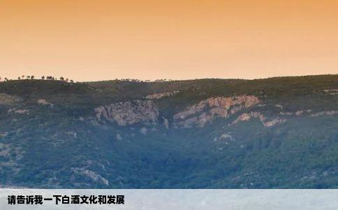 请告诉我一下白酒文化和发展