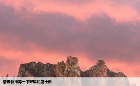 请各位推荐一下好喝的威士忌