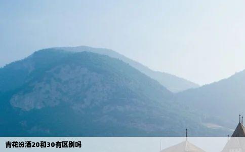 青花汾酒20和30有区别吗