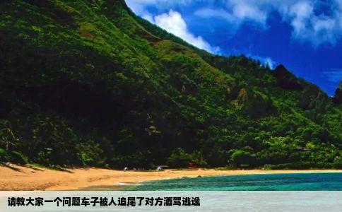 请教大家一个问题车子被人追尾了对方酒驾逃逸