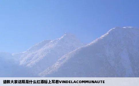 请教大家这瓶是什么红酒标上写着VINDELACOMMUNAUTE