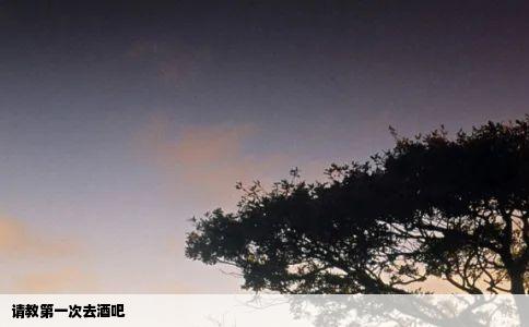 请教第一次去酒吧