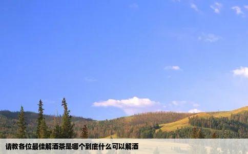 请教各位最佳解酒茶是哪个到底什么可以解酒