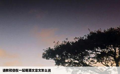 请教和你在一起喝酒文言文怎么说