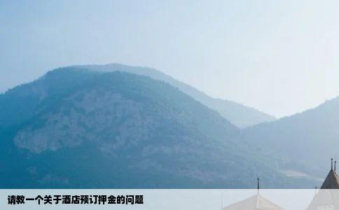 请教一个关于酒店预订押金的问题