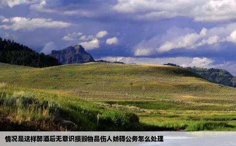 情况是这样醉酒后无意识损毁物品伤人妨碍公务怎么处理