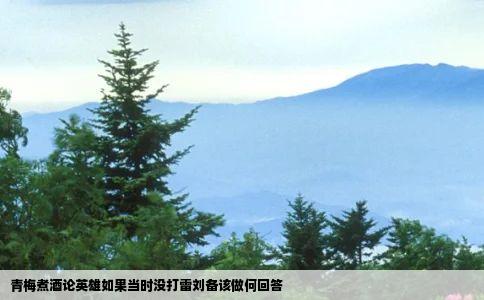 青梅煮酒论英雄如果当时没打雷刘备该做何回答