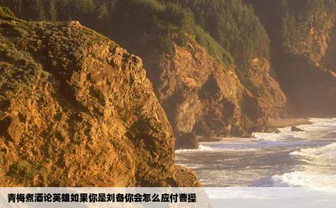 青梅煮酒论英雄如果你是刘备你会怎么应付曹操