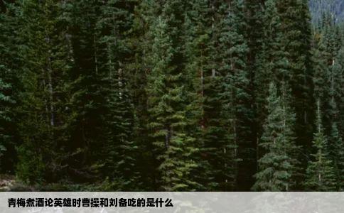 青梅煮酒论英雄时曹操和刘备吃的是什么