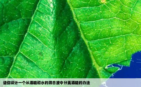 请你设计一个从酒精和水的混合液中分离酒精的办法