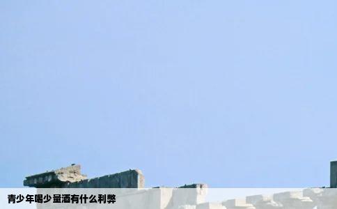 青少年喝少量酒有什么利弊