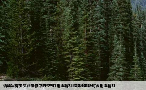 请填写有关实验操作中的空格1用酒精灯给物质加热时要用酒精灯