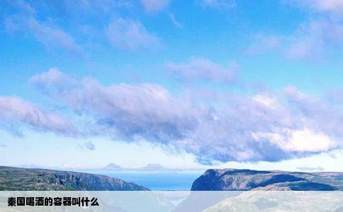 秦国喝酒的容器叫什么