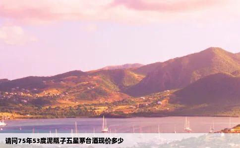 请问75年53度泥瓶子五星茅台酒现价多少
