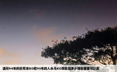 请问94年的轩尼诗XO和95年的人头马XO现在值多少钱在哪里可以卖