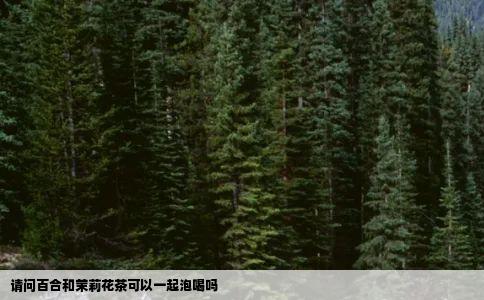请问百合和茉莉花茶可以一起泡喝吗