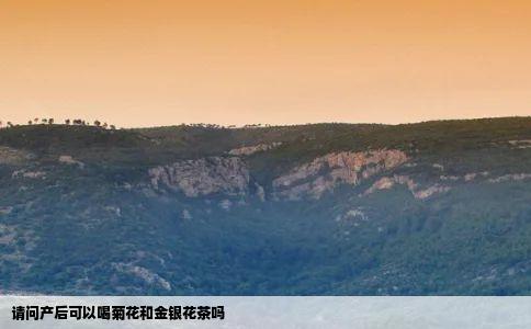 请问产后可以喝菊花和金银花茶吗