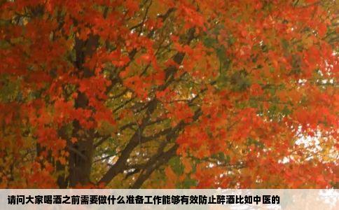 请问大家喝酒之前需要做什么准备工作能够有效防止醉酒比如中医的