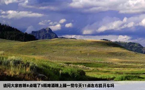 请问大家昨晚8点喝了5瓶啤酒晚上睡一觉今天11点左右能开车吗