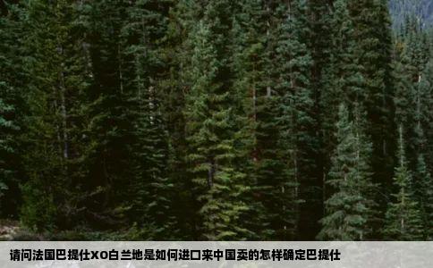 请问法国巴提仕XO白兰地是如何进口来中国卖的怎样确定巴提仕