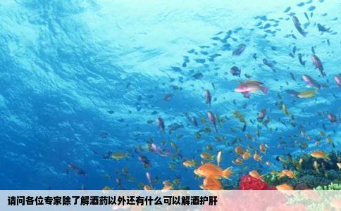 请问各位专家除了解酒药以外还有什么可以解酒护肝