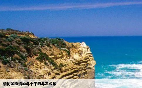 请问金樽清酒斗十千的斗怎么读